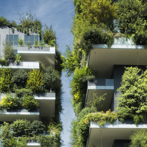 sustainable green building